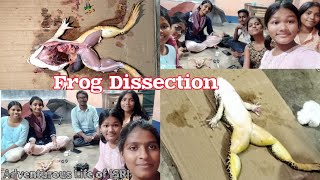 Frog dissectionclass11 biology practical [upl. by Smukler]