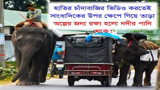 হাতির চাঁদাবাজির ভিডিও করতেই সাংবাদিকের উপর তাড়া নদীর পানি থেকে রক্ষা অল্পের জন্য [upl. by Gen]