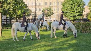 Die Lipizzaner im Burggarten [upl. by Esom]