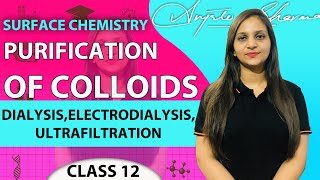 PURIFICATION OF COLLOIDS  DIALYSISELECTRODIALYSISULTRAFILTRATIONSURFACE CHEMISTRY  CLASS 12 [upl. by Animor]