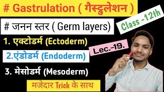 Gastrulation  Germ layers Ectoderm Mesoderm amp Endoderm  Morphogenetic movement  only Neet [upl. by Shana]