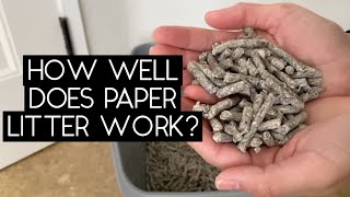 RECYCLED PAPER LITTER REVIEW  SVEN AND ROBBIE [upl. by Trammel]