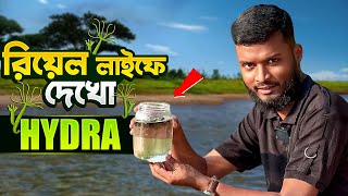 “হাইড্রার সাথে রিয়েল লাইফে পরিচিত হও 🔥  See Hydra Like Never Before  ✅ Real Hydra viridissima [upl. by Ianaj]