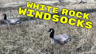 White Rock Canada Goose Windsock Decoys Full Review [upl. by Aldo835]