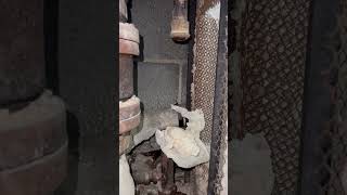 The process of replacing an old expansion joint hydronyc fyp [upl. by Essirehc]