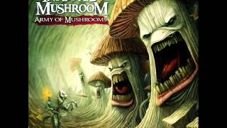 Infected Mushroom  11 The Pretender Foo Fighters Cover HQ 2012 [upl. by Marv894]