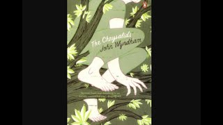 The Chrysalids by John Wyndham  Book Review [upl. by Ilysa]