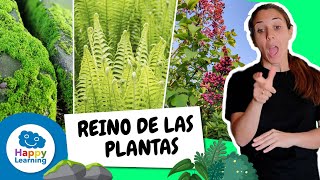 Explorando el Reino de las Plantas  Happy Learning 🌱🌻🌳 [upl. by Lion]