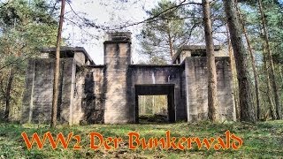 Teil 3 Im Bunkerwald der Wehrmacht  Geheimnisvolle Orte [upl. by Einahpet]