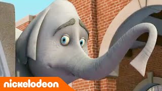 Die Pinguine aus Madagascar  Ein Elefant vergisst nie  Nickelodeon Deutschland [upl. by Coleville519]