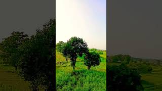 Aasman se Barkat wala Pani🌧️mdsalman46 islamic video youtube shorts [upl. by Elephus226]