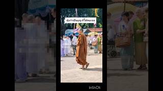 Our Phra today at Chiang Mai Monastery mewsuppasit mewlions trending viralvideo shorts [upl. by Zelig588]