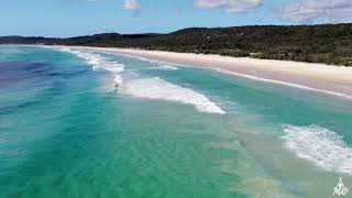 SHARKS GALORE FRASER ISLAND [upl. by Fasano630]