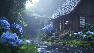 Sleep with Soft Rain Drops amp Thunder 🌧️ Relaxing Sounds for Sleep Insomnia Study PTSD [upl. by Blanchette]