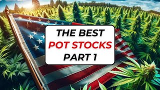 Investing in Cannabis Stocks  Part One reviewing pot stocks which weed stocks are the best [upl. by Yevoc]