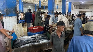 Karachi Fisheries 3pm Hayla Market 2 Nov Updates  HD [upl. by Sami]