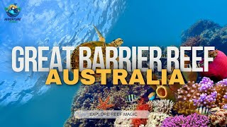 Explore the Great Barrier Reef Vibrant Corals Hidden Islands and Epic Marine Life [upl. by Alekim]