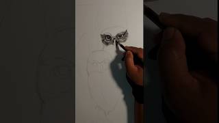 How to draw owl eye  eye drawing eyes owleye owleyes draweye stepbystep bird charcoalart [upl. by Anilrac463]