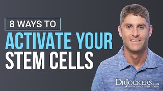 Stem Cells What Are They and 8 Ways to Activate Them [upl. by Mckee33]