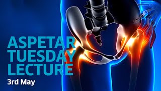 Bony Morphology of the Hip in the QSL [upl. by Tarrah]