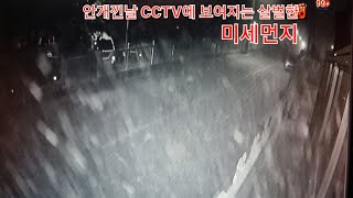 CCTV에 포착된 살벌한 미세먼지 강아지 죽이려고 작정한거지 산책이라니 [upl. by Susejedesoj]