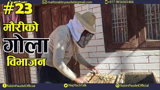 Khesari​ Lal Yadav का New चईता Song 2022  चइत में घाम लगता  Bhojpuri Chaita Songs 2022 [upl. by Hart]