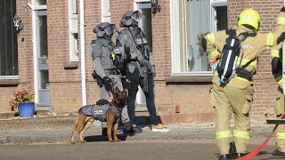 Arrestatieteam lost schoten bij aanhouding  Lobith 21 08 2023 [upl. by Yednil]