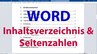 WORD automatisches Inhaltsverzeichnis und Seitenzahlen erstellen  Komplettkurs Tutorial [upl. by Dedric]