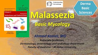 Malassezia Basic Mycology [upl. by Bullivant]