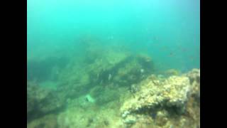 Montezuma Scuba Diving [upl. by Ivets]