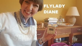 Flylady Diane  Zone 1 Declutter April 2017 [upl. by Hesper]