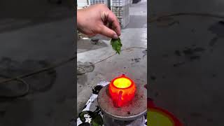 Color changing teapot add some color to your tea time teapots fypシ゚viral diy [upl. by Hcelemile233]