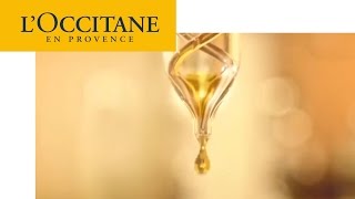 抗皺精華油：蠟菊極致再生精華油  LOCCITANE [upl. by Sirkin]