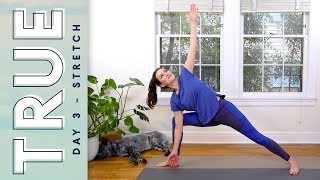 TRUE  Day 3  STRETCH  Yoga With Adriene [upl. by Consuela]