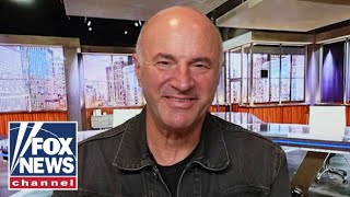 Kevin O’Leary This issue will hurt at the polls [upl. by Blakelee]