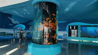 The acrylic fish tank is a fish tank made of acrylic material  LEYU acrylicacrylictank [upl. by Assennej]