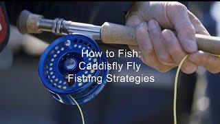 How to Fish Caddisfly Fly Fishing Strategies  GoFishBC [upl. by Cupo]