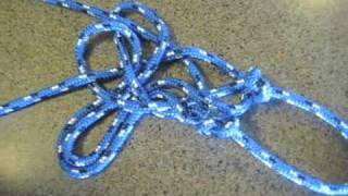 How to make a rope halter with fiador knot Part 1 of 3 [upl. by Yelloh419]