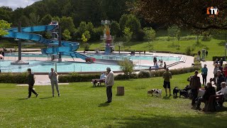 Auch das 6Hundeschwimmen im Freibad in Saalfeld war ein voller Erfolg [upl. by Kenley]