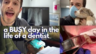 A BUSY day in the life of a dentist  DENTAL VLOG follow along with me [upl. by Heisel]