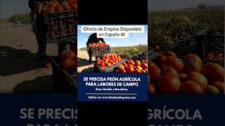 Oferta de Empleo Disponible en España agricultura empleo jobs trabajo agricultores newjobs [upl. by Dremann357]