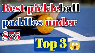 Unveiling the Best Pickleball Paddles Under 75 [upl. by Happ436]