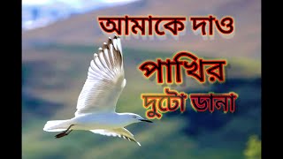 Amaka daw pakhir duto dana। আমাকে দাও পাখির দুটো ডানা। গজল । [upl. by Nwad]