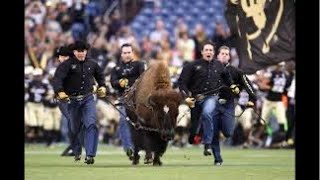 Live From The Stampede 🦬 amp More  Live with RobDaManMedia updasko skobuffs cubuffs coachprime [upl. by Llyrehc478]