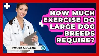 How Much Exercise Do Large Dog Breeds Require  PetGuide360com [upl. by Phedra]