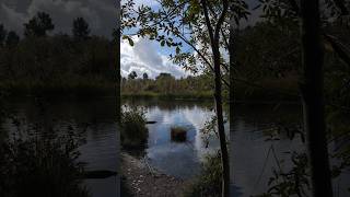 Sammamish River at Marymoor Park Redmond [upl. by Morie]