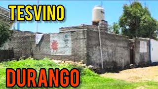 PUEBLITO TESVINO DURANGO MUNICIPIO DE SAN JUAN DEL RIO DGO  MEXICO [upl. by Yalcrab380]