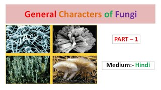 General Characters of Fungi Part1 Hindi [upl. by Denys]