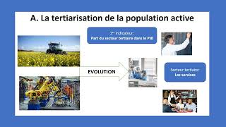 Comment est structurée la société française les évolutions de la population active 34 [upl. by Leland261]