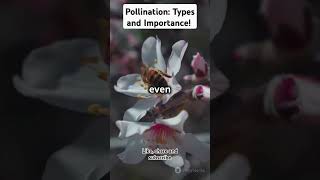 Pollination 101 Types and Importance trendingvideos plantbiotechnology [upl. by Atauqal1]